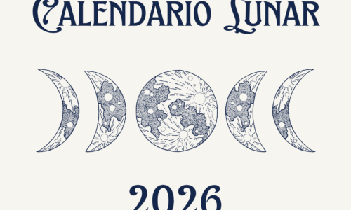 miniatura del curso